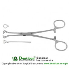 Babcock Intestinal and Tissue Grasping Forceps Stainless Steel, 24 cm - 9 1/2"